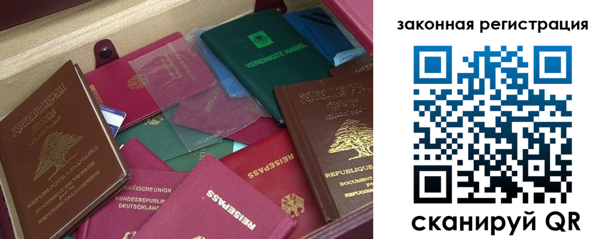 купить прописку в Звенигово